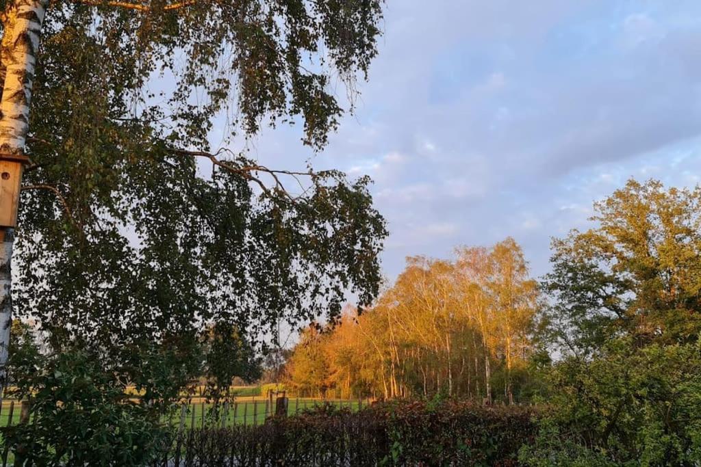 1x Luxe Trekkershut Of 1x Vrijstaand Peperkamp *